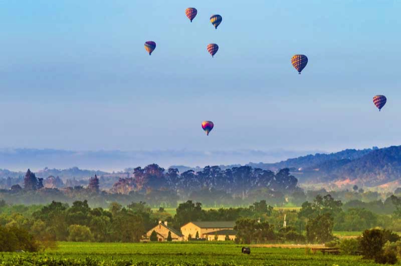 Policy Silverado Orchards Napa Valley Retirement Living