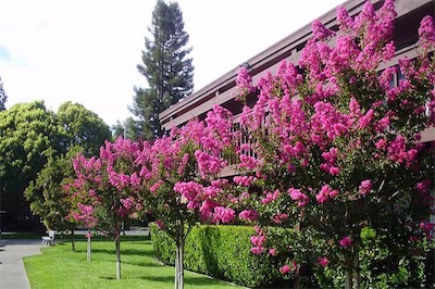 Stroll Our Lovely Grounds
